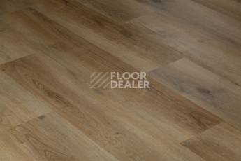 Tarkett Funky House BOB фото 8 | FLOORDEALER